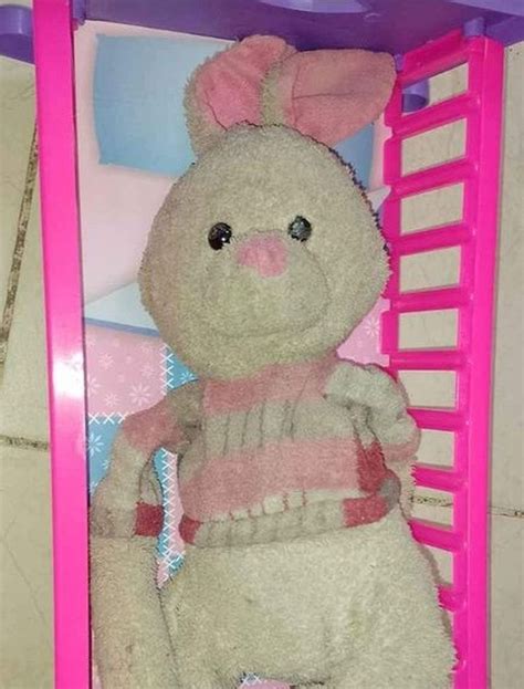 la increible historia del conejo perdido de sofia  el hada madrina