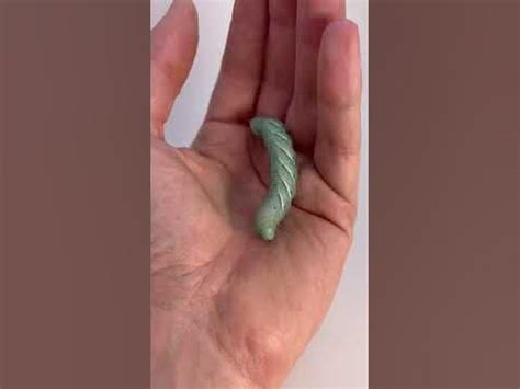 Физиология насекомых #биология #наука #насекомые #entomology - YouTube