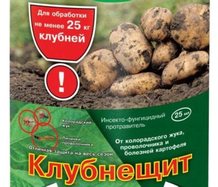 Парша картофеля: описание заболевания, фото и способы лечения | Дачный ...