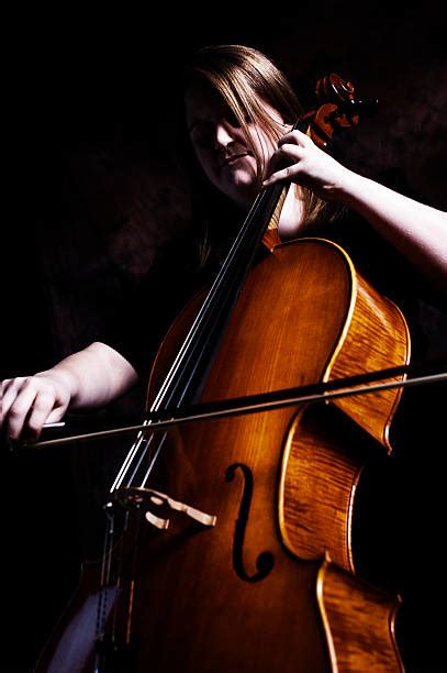 female cellist stock  pictures royalty  images istock