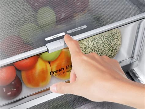 LG Fridge Freezers buying Guide | LG UK