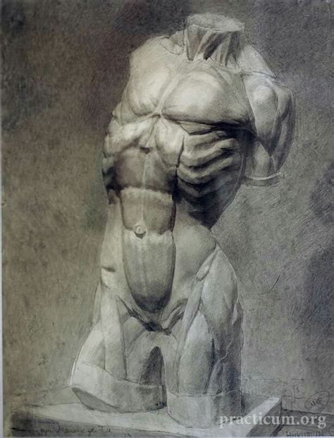 Экорше | Anatomy art, Drawings, Anatomy drawing