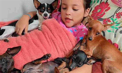 Menina Encantadora De Animais - 8