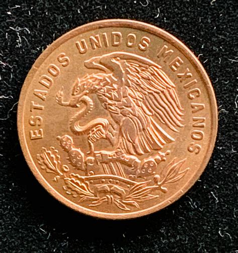 Copper - Search Results | Property Room