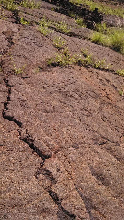 PCC Hawaii 2014 | Institute for Archaeological Studies