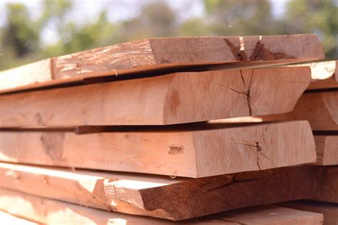 Mách bạn cách phân biệt 10 loại gỗ tự nhiên ngay tức khắc
