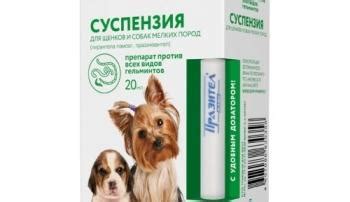 Препараты и лекарства для лечения собак - обзор и советы по применению