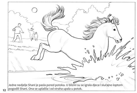 BOJANKA: Maro i Shani – Ljubavna priča – Don Kihot