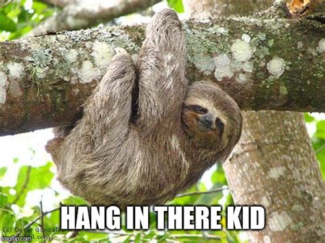 Confession Bear Meme - Imgflip