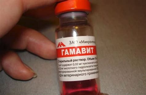 «Гамавит» для попугаев: инструкция по применению, дозировка