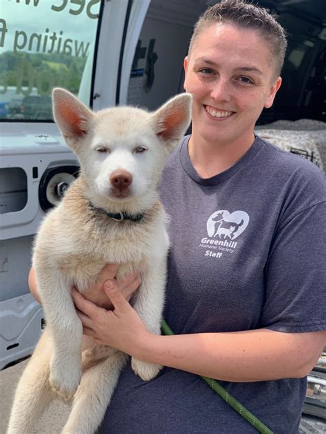 Greenhill Humane Society partners with Lane County Animal Services and