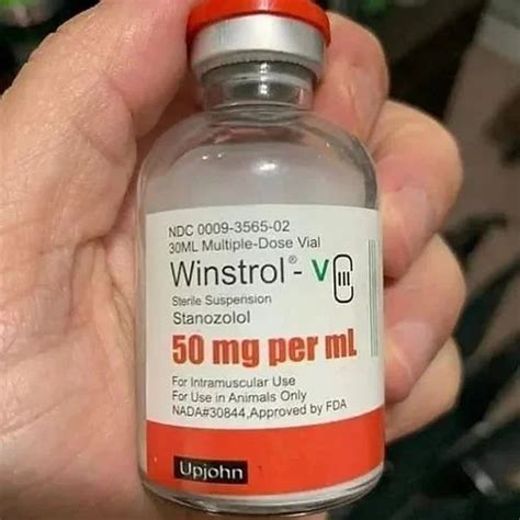 Winstrol Stanozolol 50 Mg at Rs 2000/vial | Stanozolol Tablets and ...
