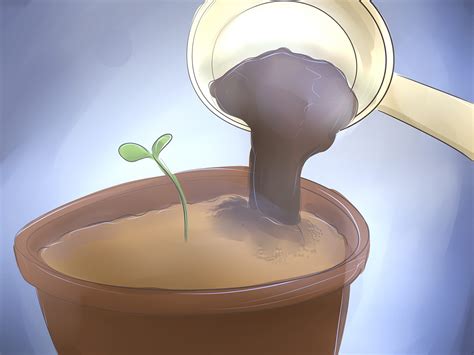How To Make Baby Plants Grow Faster at Abbey Battye blog