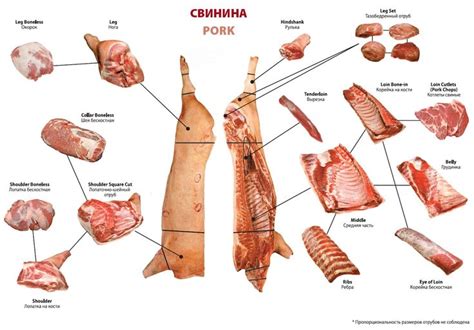 Схема разруба свинины | Свинина, Мясо, Свиной шашлык