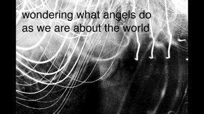 wondering  angels        world andrew