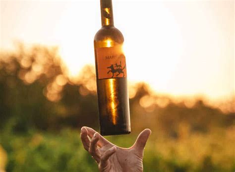 Pairing National Park with wine