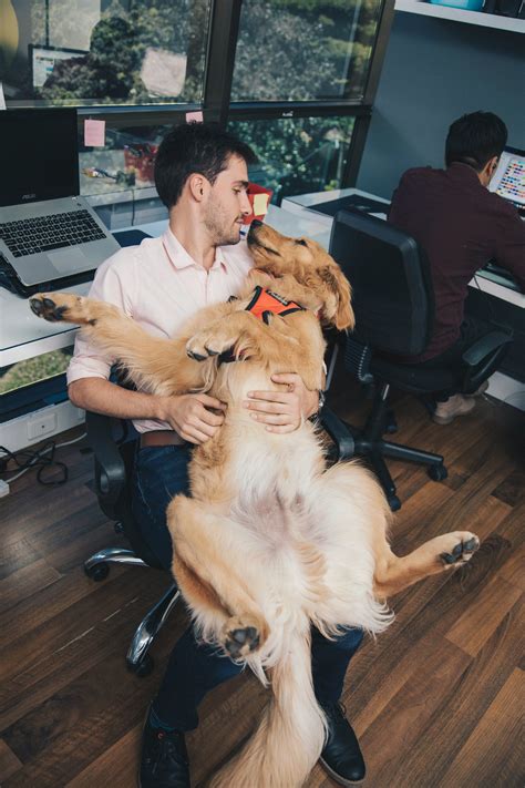 Men as Dog Breeds — Hunbun