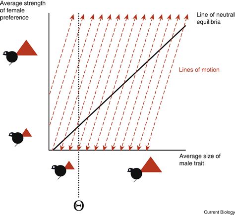 Sexual selection: Current Biology