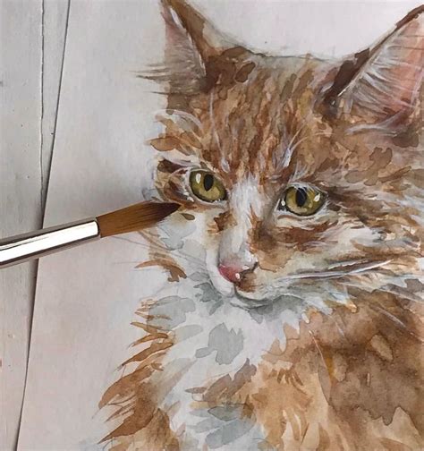 Кот акварель живопись