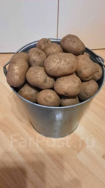Продам картофель домашний, экологически чистый - Домашние продукты в ...