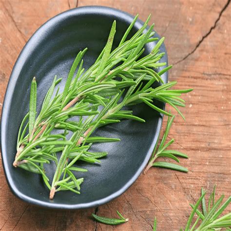 Rosemary Oil, Rosemary Oil Supplier, Rosemary Oil Manufacturer ...