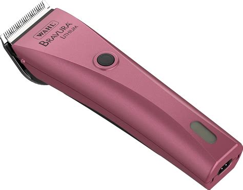 8 High-Quality Best Cordless Dog Clippers [2022]