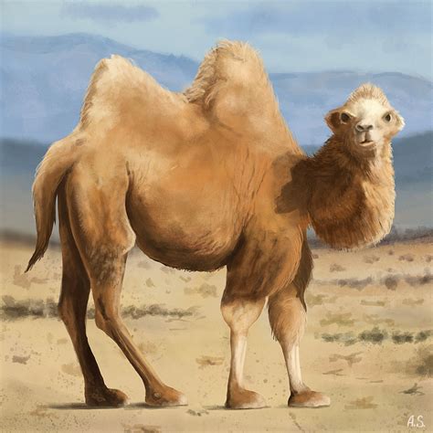 camel  ompower  deviantart