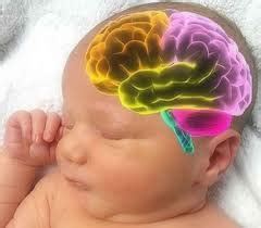 Periventricular Leukomalacia - Symptoms & Treatment - Santripty