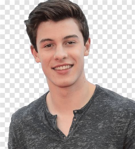 Shawn Mendes Hairstyle Model Beard - Cheek - Hair Transparent PNG