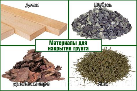 Что делать чтобы не росла трава: Средства, применяемые для того, чтобы ...
