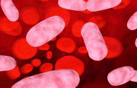 Can ringworm cause stomach pain. Fungal Infections of the