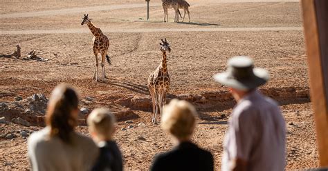 explore  wild monarto safari park