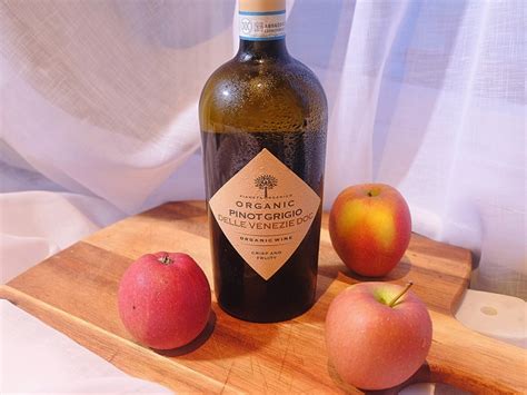 Aldi Organic Pinot Grigio Review – The Wine Ninjas
