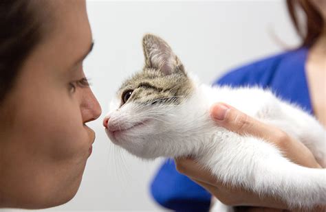 Eye Clinic for Animals - ECA