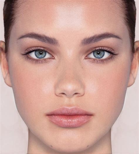 human face diagram quizlet