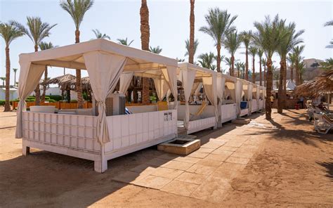 Тур на відпочинок в готелі Seti Sharm Resort 4* в Шарм Ель Шейх, Єгипет ...