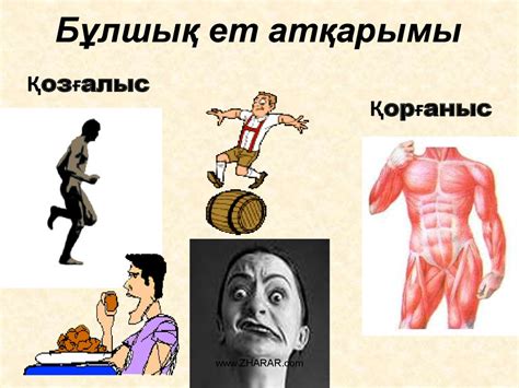 Бұлшық ет - презентация онлайн