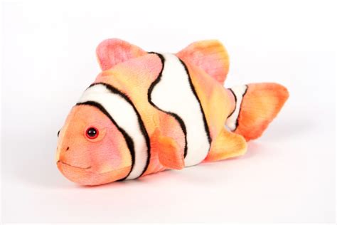 Clown Fish 32cmL - Hamac Trading