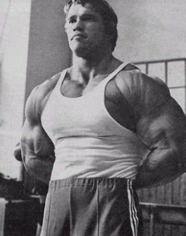 Арнольд Шварценеггер (Arnold Schwarzenegger), фотографии, биография ...