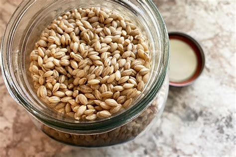 From Grain to Gourmet: Mastering Pearled Barley in 10 Minutes