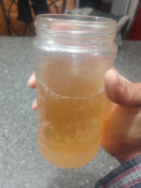 Mmm tasty Hawthorne soda. Putting the tonic in tonic water : r/herbalism