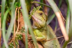 charterhouse aquatics    aquarium
