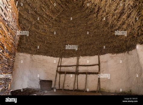 Interior with thatched roof ceiling inside a recreated Neolithic stone ...