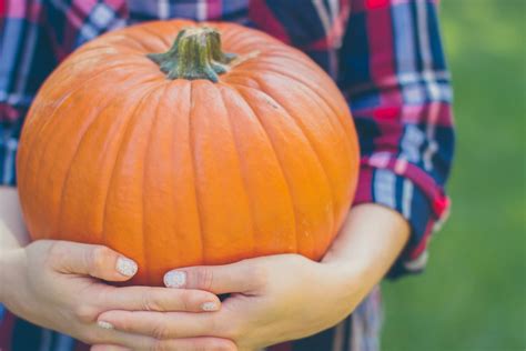 Psalm 138 and Giving Thanks to the Lord — Christina Fox