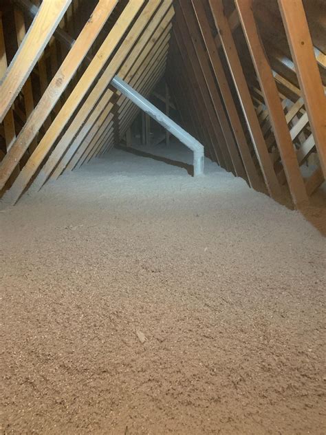 Termite Nest In Attic