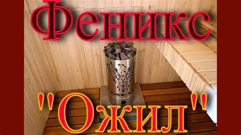 Ковры в баню?!!.. Феникс "ожил"!,.. и починил водопровод. - YouTube