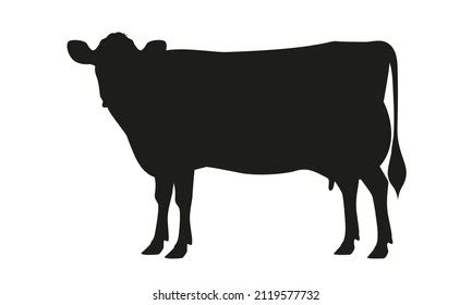 Cow Jersey Silhouette Best Milk Cattle Stock Vector (Royalty Free ...