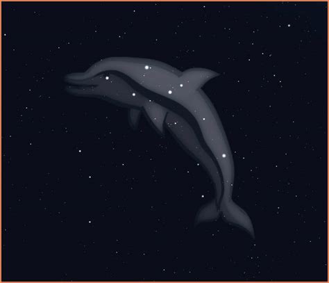 Delphinus – The Alchemist's Studio