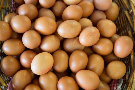 Meski Harga Pakan Ternak Turun, Harga Telur Ayam Masih Mahal