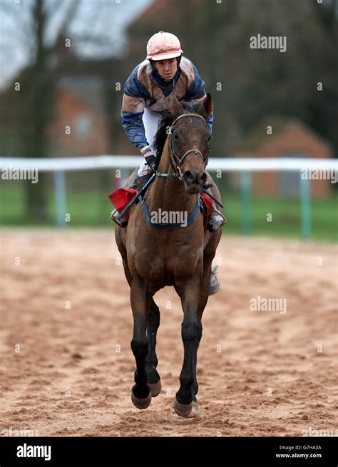 Meydan racecourse hi-res stock photography and images - Alamy